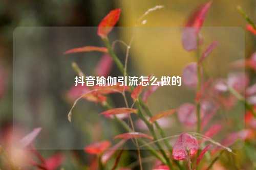 抖音瑜伽引流怎么做的