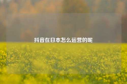 抖音在日本怎么运营的呢