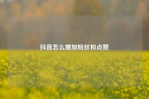抖音怎么增加粉丝和点赞