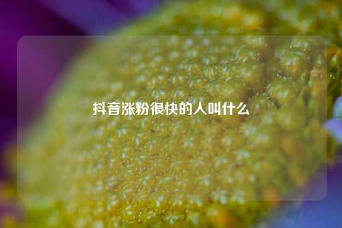 抖音涨粉很快的人叫什么
