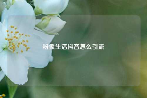粉象生活抖音怎么引流