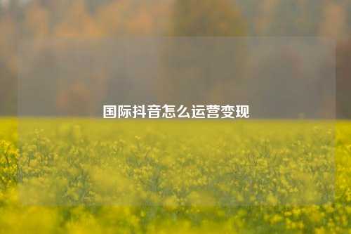 国际抖音怎么运营变现
