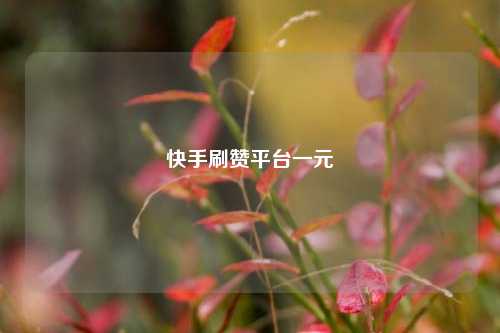 快手刷赞平台一元