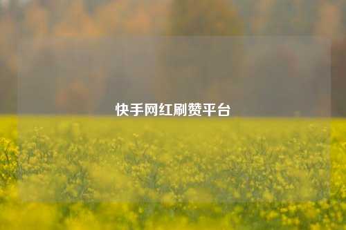 快手网红刷赞平台