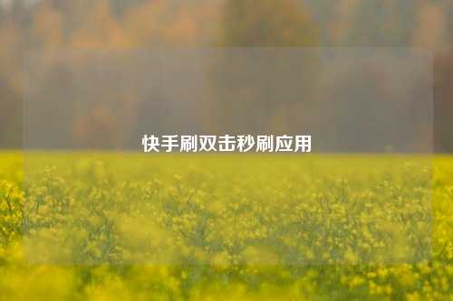 快手刷双击秒刷应用