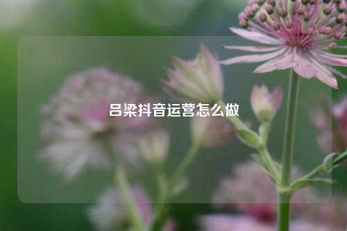 吕梁抖音运营怎么做