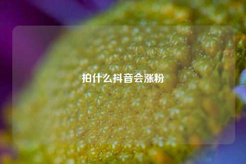 拍什么抖音会涨粉