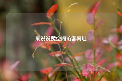 刷说说赞空间访客网址